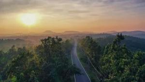 jhiimilibaromile forest