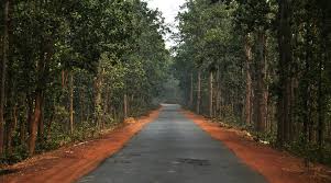 joypur forest