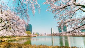 Seokchon Lake