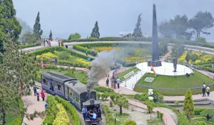 Darjeeling tour guide 
